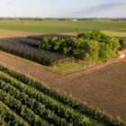 1 hektar – ile to m2? Odpowiedź i kalkulator powierzchni