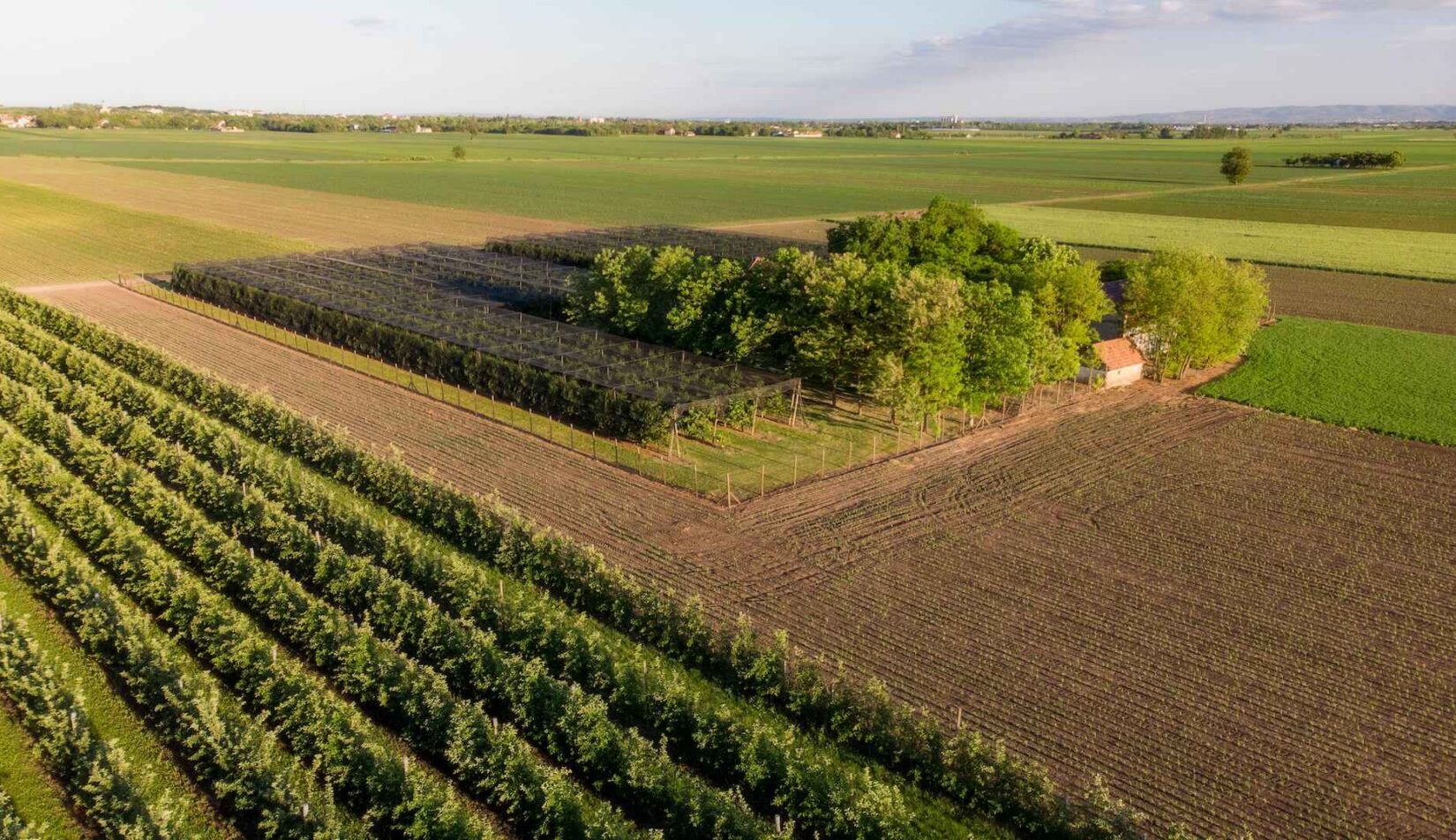 1 hektar – ile to m2? Odpowiedź i kalkulator powierzchni