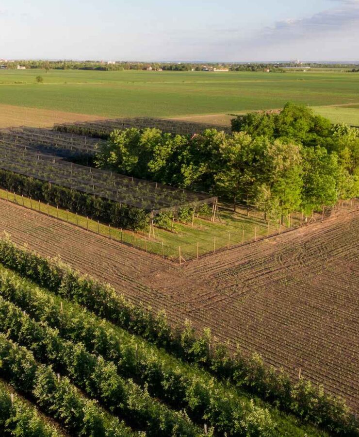 1 hektar – ile to m2? Odpowiedź i kalkulator powierzchni