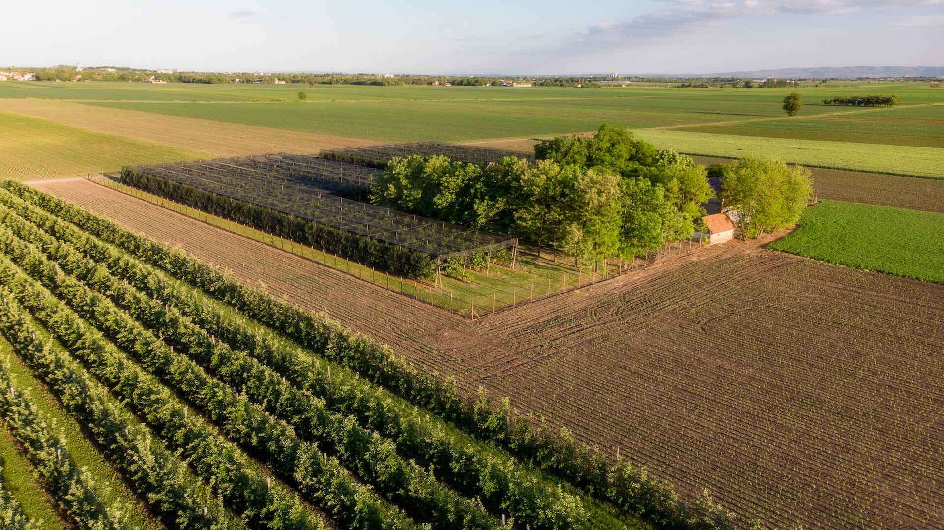 1 hektar – ile to m2? Odpowiedź i kalkulator powierzchni