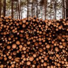 1 kubik drewna – ile to m2? Wyjaśnienie i kalkulator online