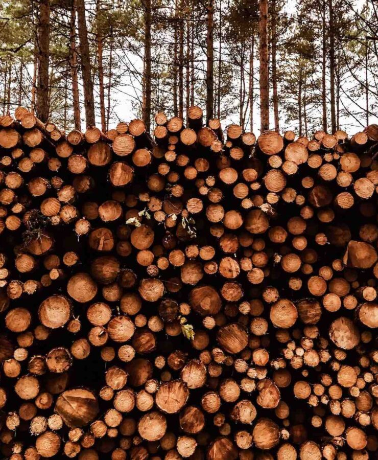 1 kubik drewna – ile to m2? Wyjaśnienie i kalkulator online