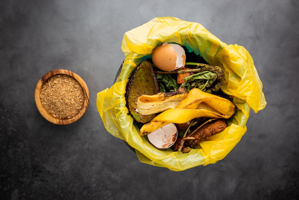 odpady bio do nawożenia roślin 