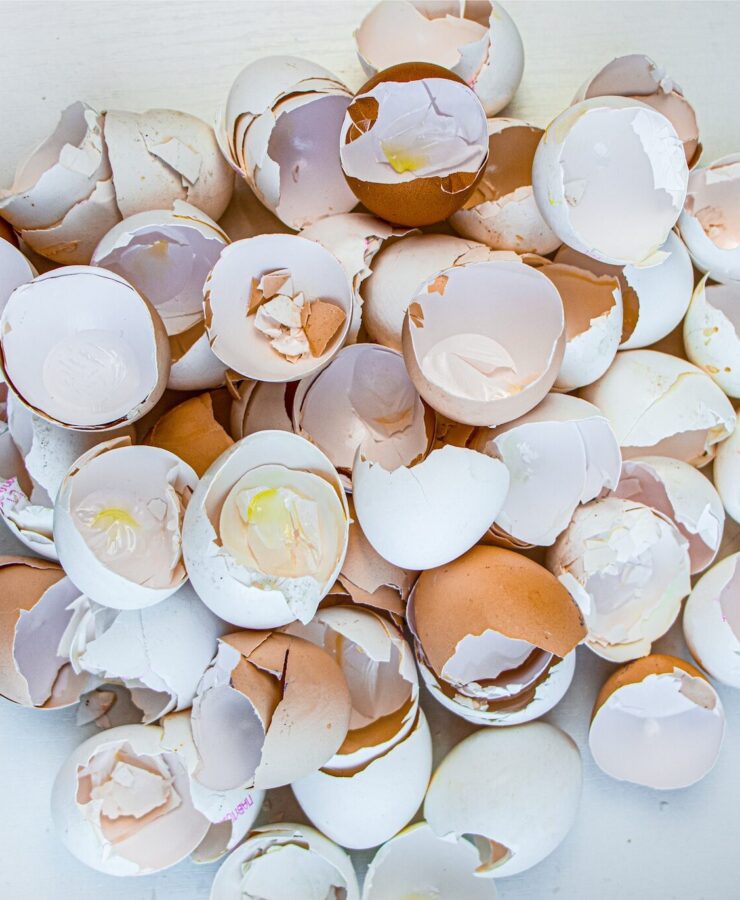 Skorupki jajek – pod jakie rośliny? Poradnik