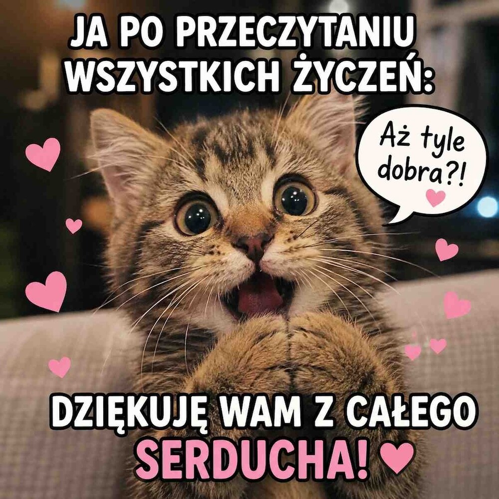 Mem z zaskoczonym kotem – podziękowanie za życzenia