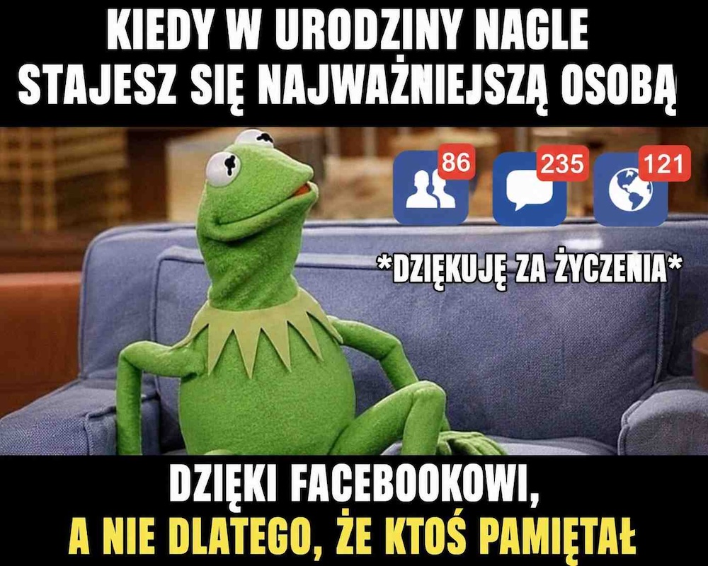 memy - śmieszne podziękowania za życzenia urodzinowe na fb z żabą 