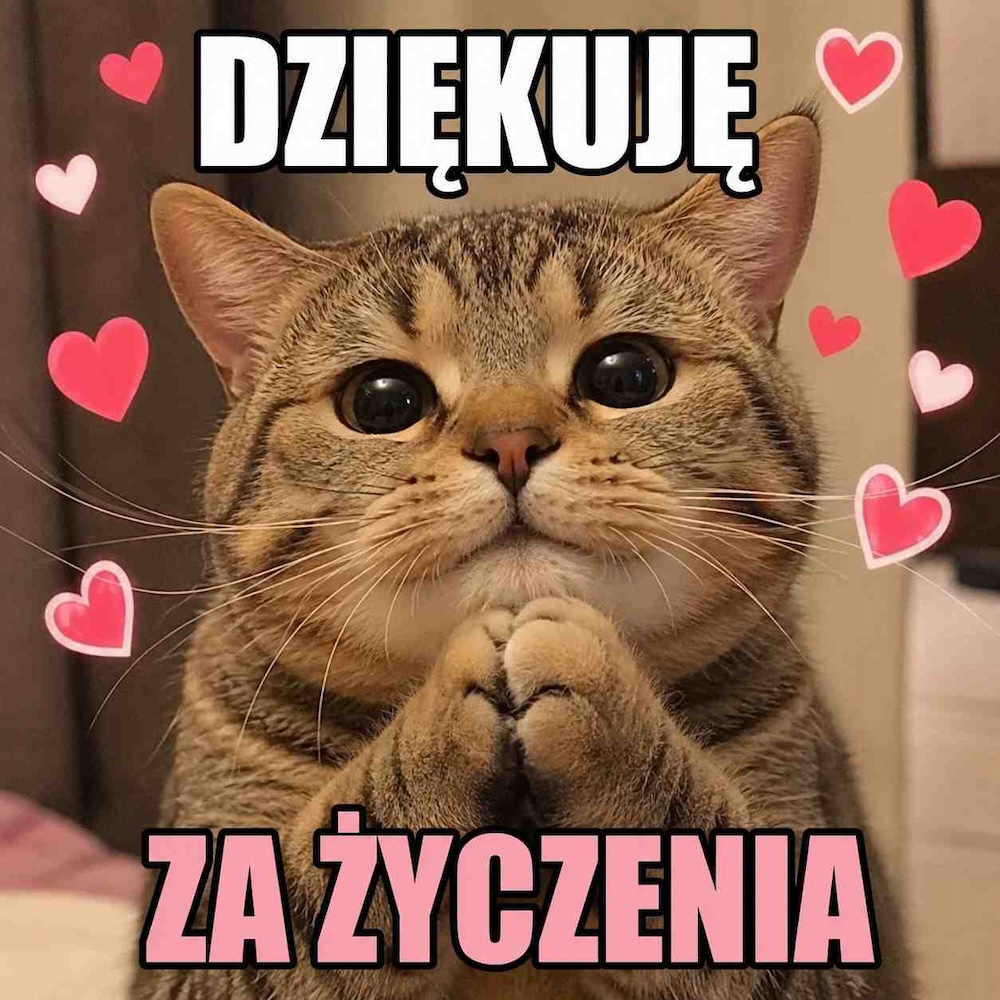memy - śmieszne podziękowania za życzenia urodzinowe na fb z uroczym kotem 