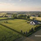1 hektar – ile to arów? Tabela przeliczeń i przykłady